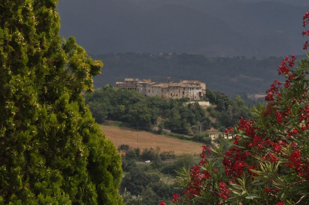 Farm Stay Il Carro Del Colle Colvalenza Quarto foto