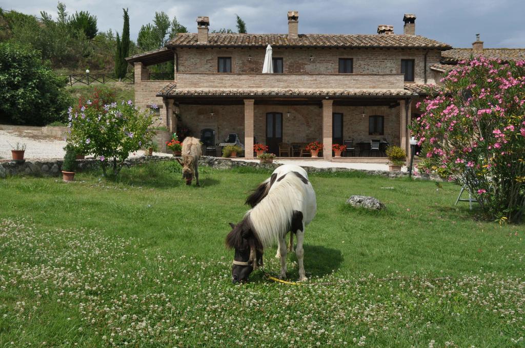 Farm Stay Il Carro Del Colle Colvalenza Exterior foto