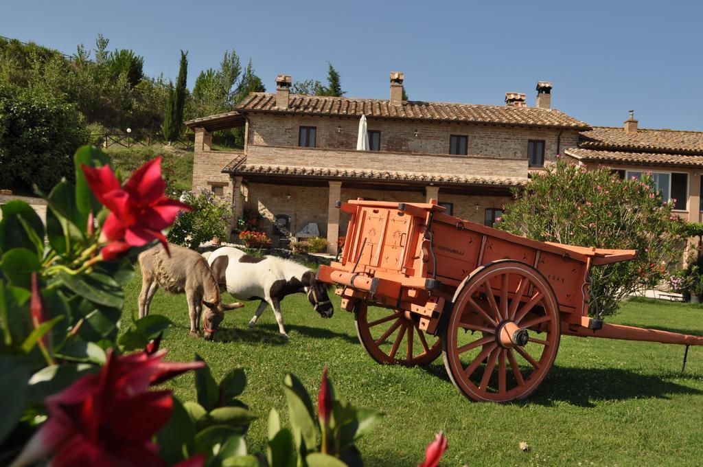 Farm Stay Il Carro Del Colle Colvalenza Exterior foto