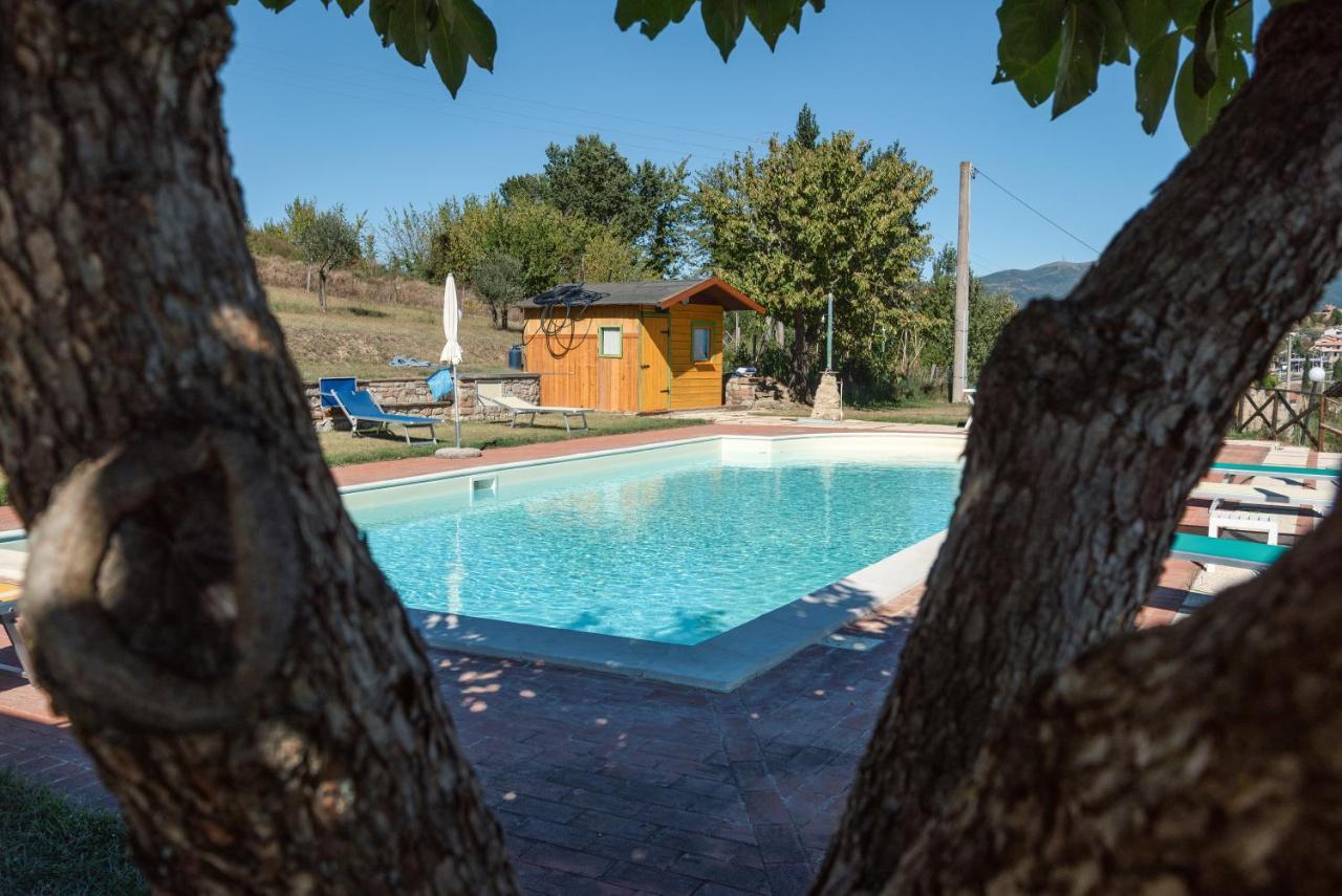 Farm Stay Il Carro Del Colle Colvalenza Exterior foto